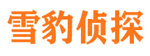 庐阳外遇调查取证